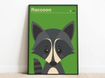 Plakat Szop – ilustracja zwierzęca z kolekcji Animals for Dumont.