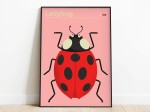 Plakat ladybug z serii ilustracji zwierzęcych Dumont