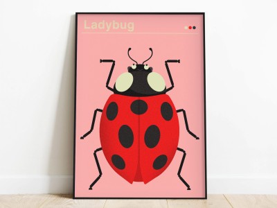 plakat biedronka | ladybug