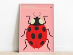 Plakat ladybug z serii ilustracji zwierzęcych Dumont