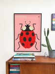Plakat ladybug z serii ilustracji zwierzęcych Dumont